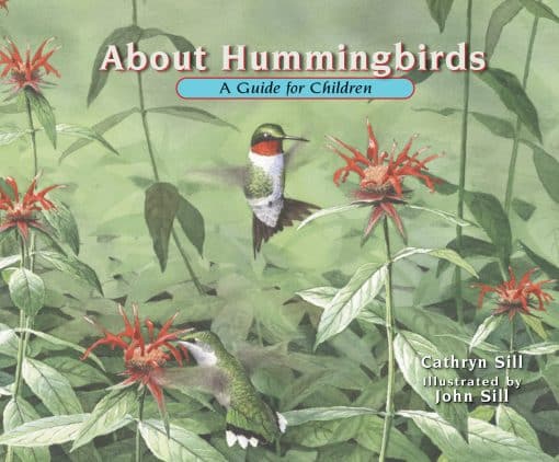 A Guide for Children: About Hummingbirds