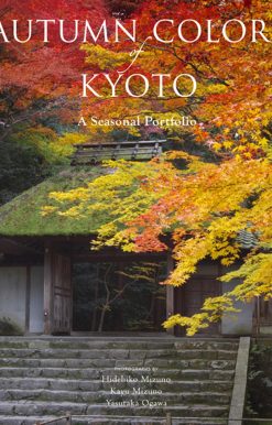 Autumn Colors of Kyoto: A Seasonal Portfolio
