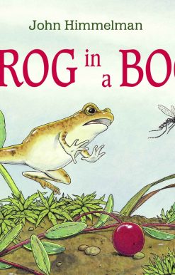 Frog in a Bog