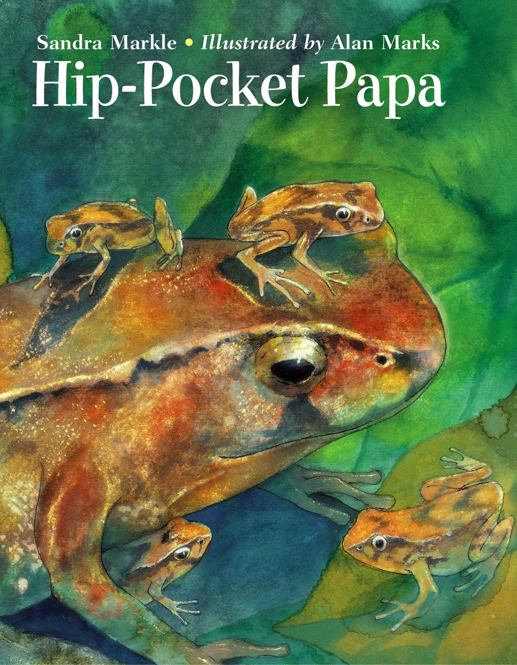 9781570917097 Hip-Pocket Papa