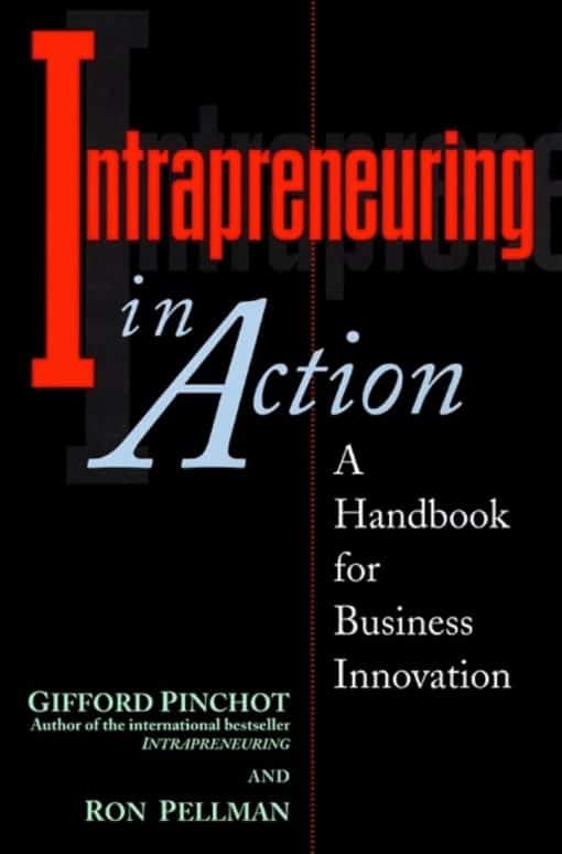 A Handbook for Business Innovation: Intrapreneuring in Action