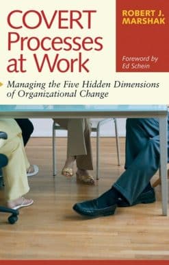 Managing the Five Hidden Dimensions of Organizational Change: Covert Processes at Work