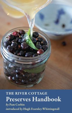 The River Cottage Preserves Handbook: [A Cookbook]