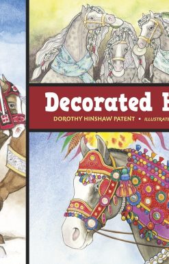 Decorated Horses