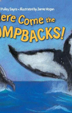 Here Come the Humpbacks!