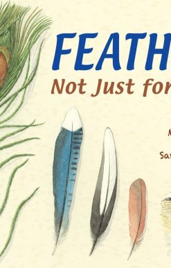 Feathers: Not Just for Flying