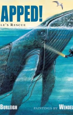 Trapped! A Whale's Rescue