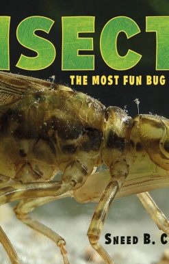 Insects: The Most Fun Bug Book Ever