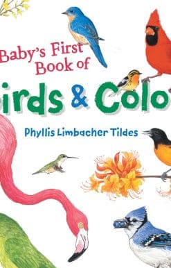 Baby's First Book of Birds & Colors