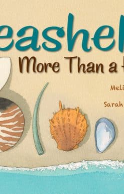 Seashells: More Than a Home
