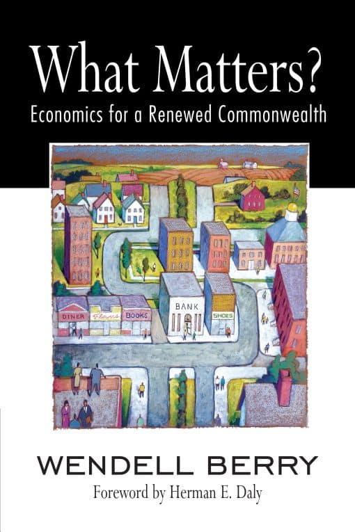 What Matters?: Economics for a Renewed Commonwealth