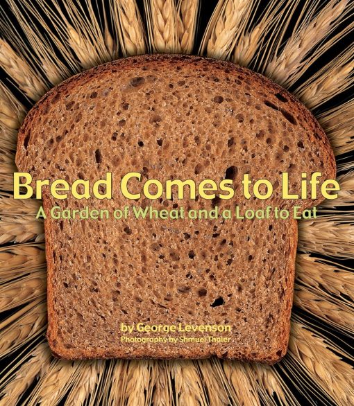 Bread Comes to Life: A Garden of Wheat and a Loaf to Eat