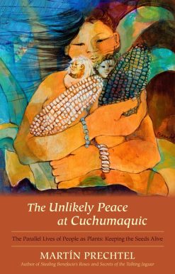 The Unlikely Peace at Cuchumaquic: The Parallel Lives of People as Plants: Keeping the Seeds Alive
