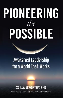Pioneering the Possible: Awakened Leadership for a World That Works
