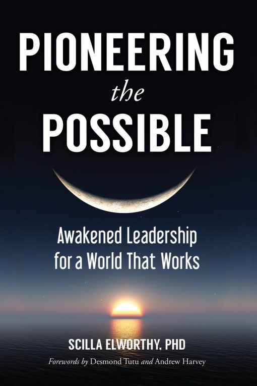 Pioneering the Possible: Awakened Leadership for a World That Works