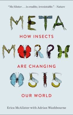 Metamorphosis: How Insects Are Changing Our World