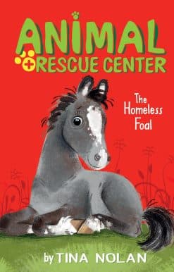 The Homeless Foal