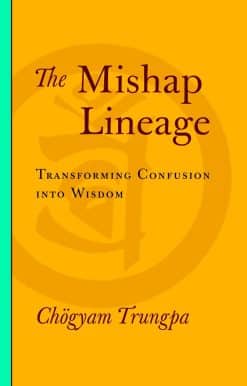 The Mishap Lineage: Transforming Confusion into Wisdom