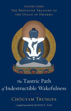 The Profound Treasury of the Ocean of Dharma, Volume Three: The Tantric Path of Indestructible Wakefulness