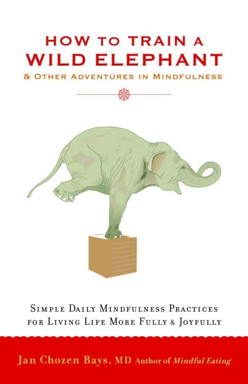 And Other Adventures in Mindfulness: How to Train a Wild Elephant