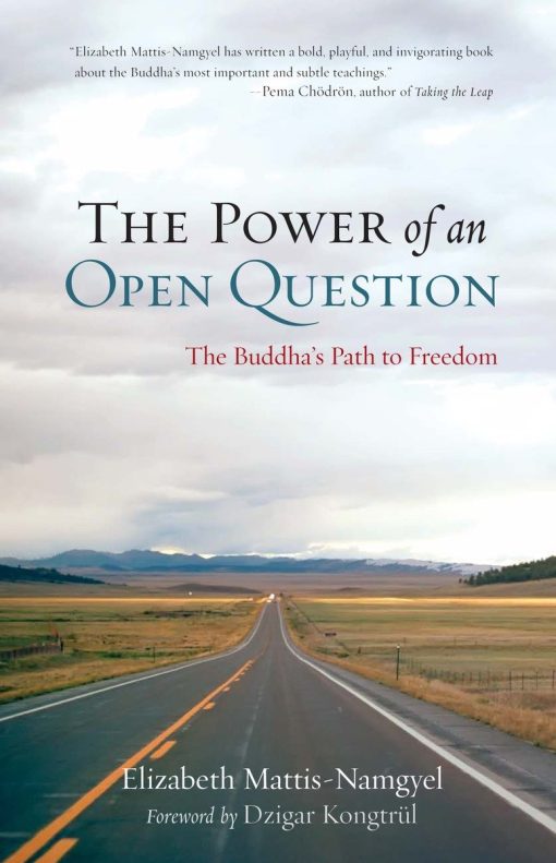 The Buddha's Path to Freedom: The Power of an Open Question