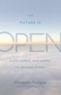 The Future Is Open: Good Karma, Bad Karma, and Beyond Karma