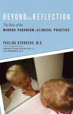 Beyond the Reflection