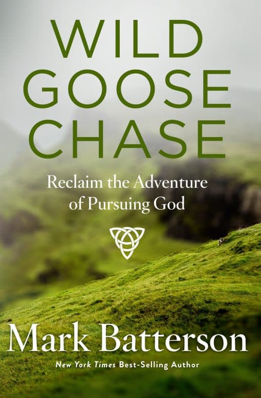 Reclaim the Adventure of Pursuing God: Wild Goose Chase