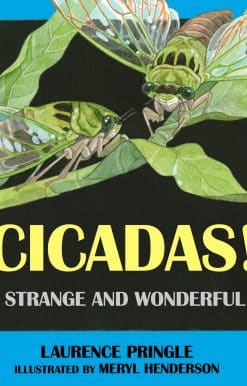 Cicadas!: Strange and Wonderful