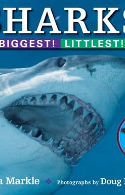 Sharks: Biggest! Littlest!