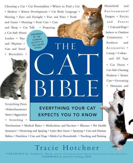 Everything Your Cat Expects You to Know: The Cat Bible