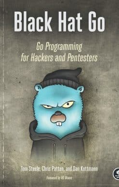 Black Hat Go: Go Programming For Hackers and Pentesters