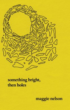 Something Bright, Then Holes: Poems