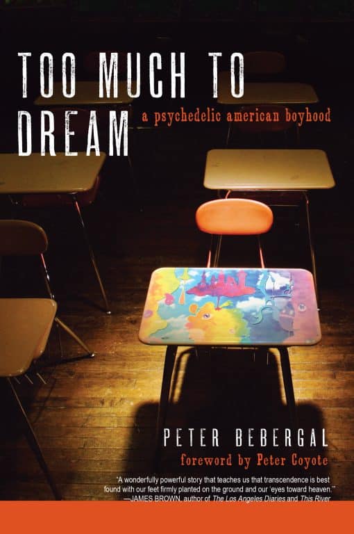 A Psychedelic American Boyhood: Too Much to Dream