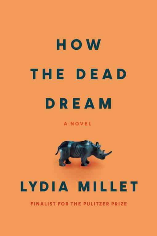 A Novel: How the Dead Dream