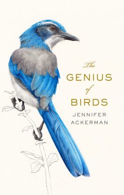 The Genius of Birds