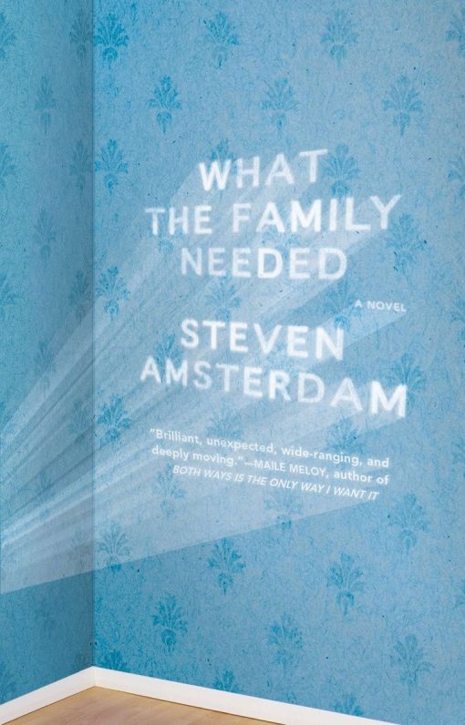 What the Family Needed: A Novel