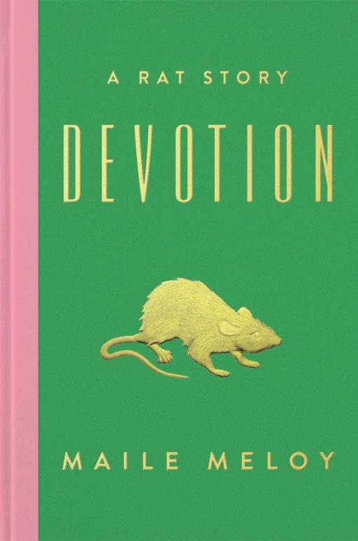 Devotion: A Rat Story