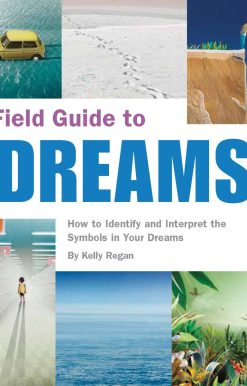 Field Guide to Dreams: How to Identify and Interpret the Symbols in Your Dreams