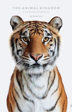 Animal Kingdom: A Collection of Portraits
