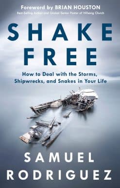 Shake Free: How to Deal with the Storms, Shipwrecks, and Snakes in Your Life