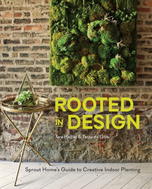 Rooted in Design: Sprout Home's Guide to Creative Indoor Planting