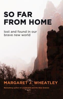 Lost and Found in Our Brave New World: So Far from Home