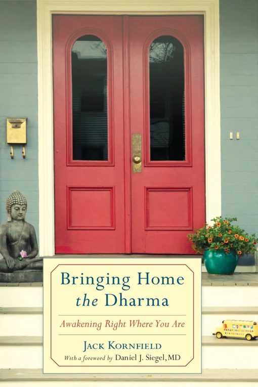 Awakening Right Where You Are: Bringing Home the Dharma