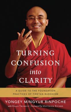 Turning Confusion into Clarity: A Guide to the Foundation Practices of Tibetan Buddhism