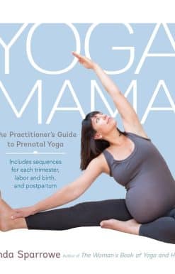 The Practitioner's Guide to Prenatal Yoga: Yoga Mama