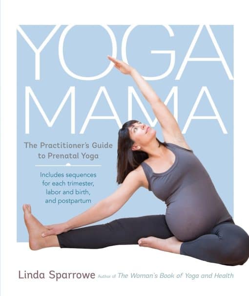 The Practitioner's Guide to Prenatal Yoga: Yoga Mama