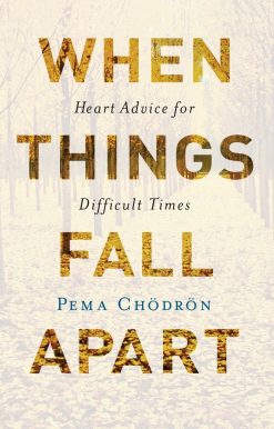 When Things Fall Apart: Heart Advice for Difficult Times