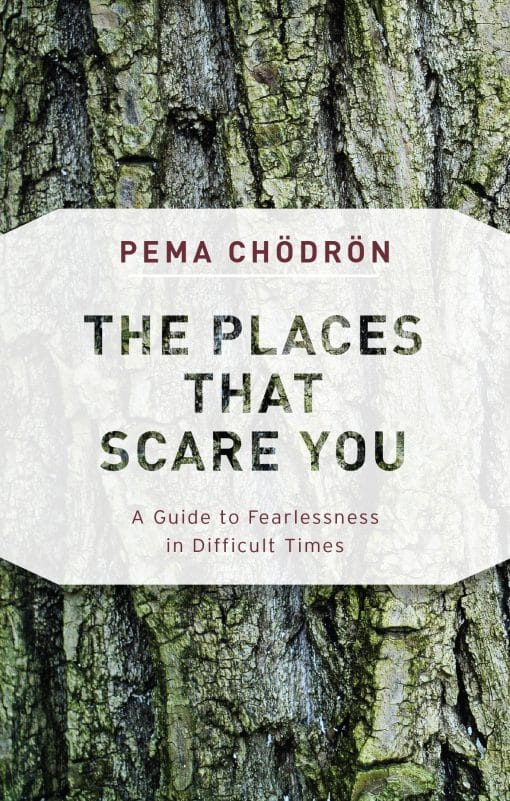 A Guide to Fearlessness in Difficult Times: The Places That Scare You