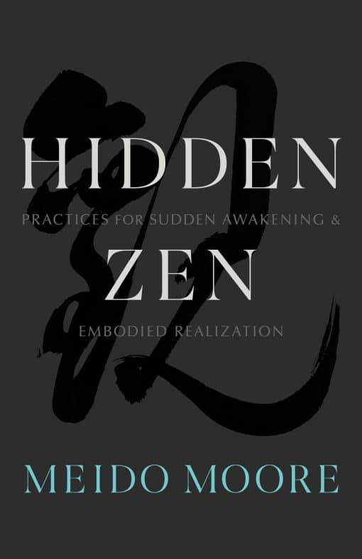 Practices for Sudden Awakening and Embodied Realization: Hidden Zen